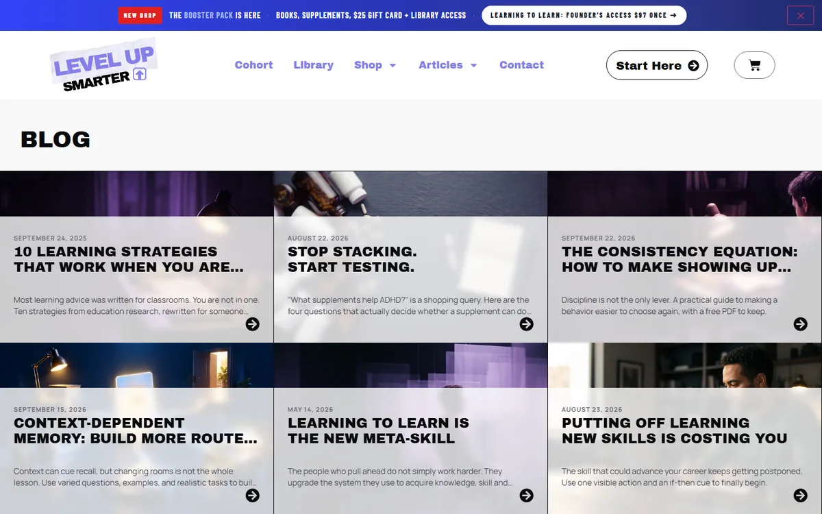 The Level Up Smarter blog: a grid of article cards with photos and titles.